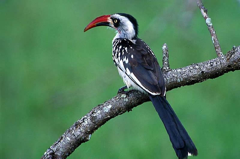 Nairobi to Mombasa Beach Safari Tours in Kenya 